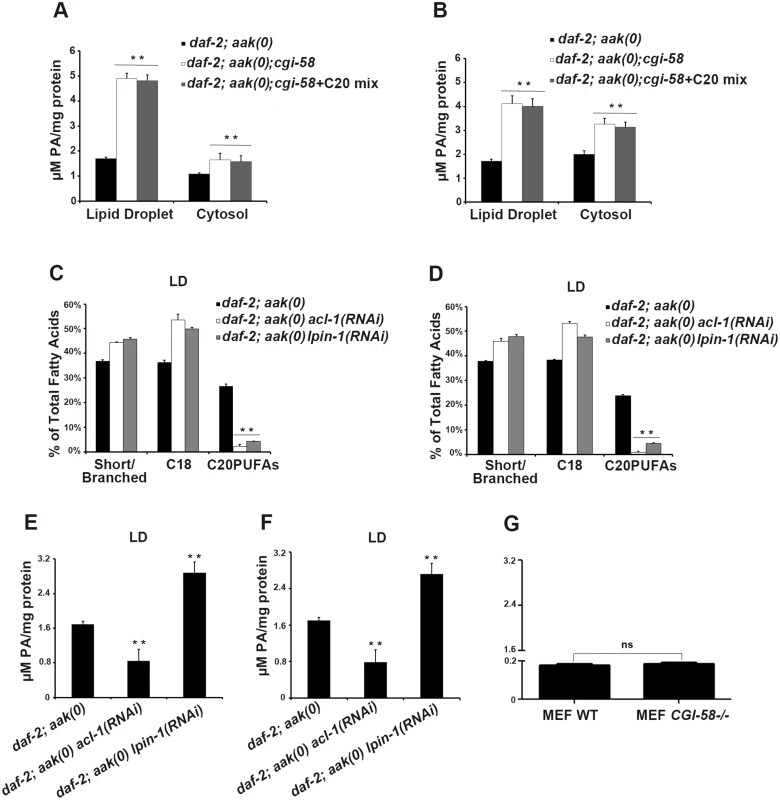 Variation in phosphatidic acid (PA) levels is associated with reduced C20PUFA abundance.