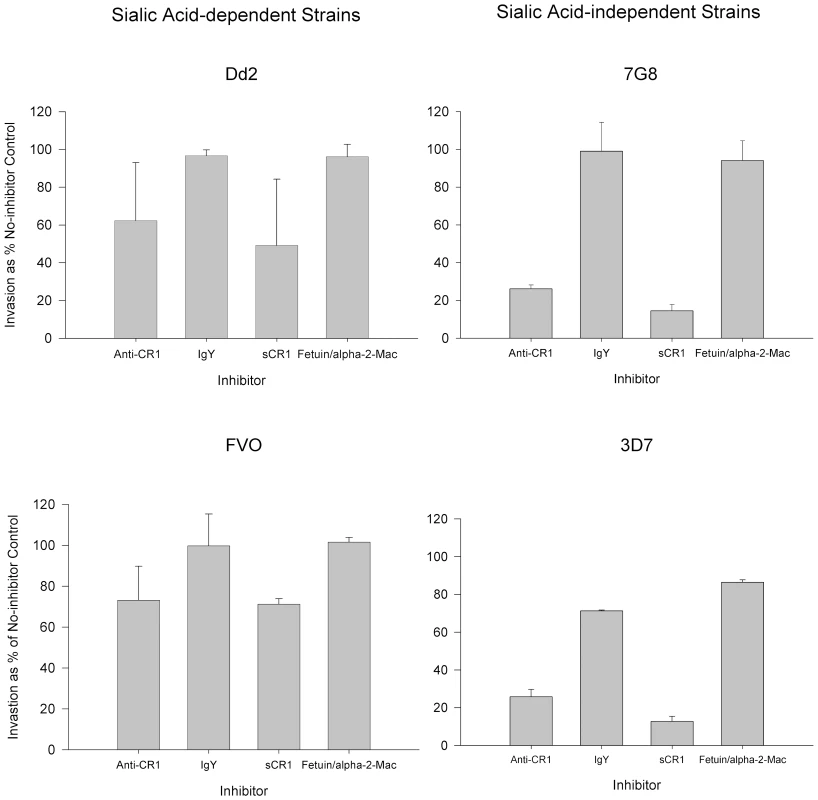 Inhibition of invasion of neuraminidase-treated red cells by sialic acid-dependent and independent strains.