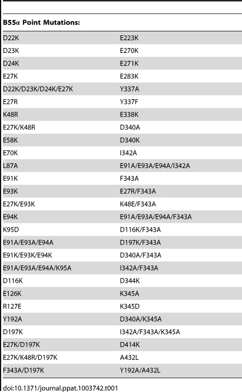 B55α residues subjected to point mutations.