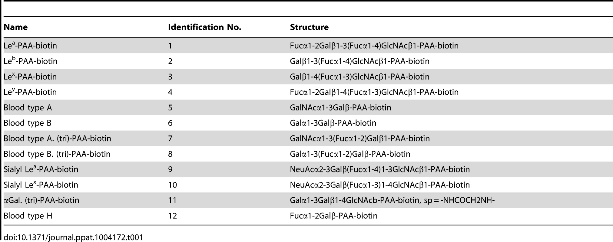 Synthetic oligosaccharide used in this study.