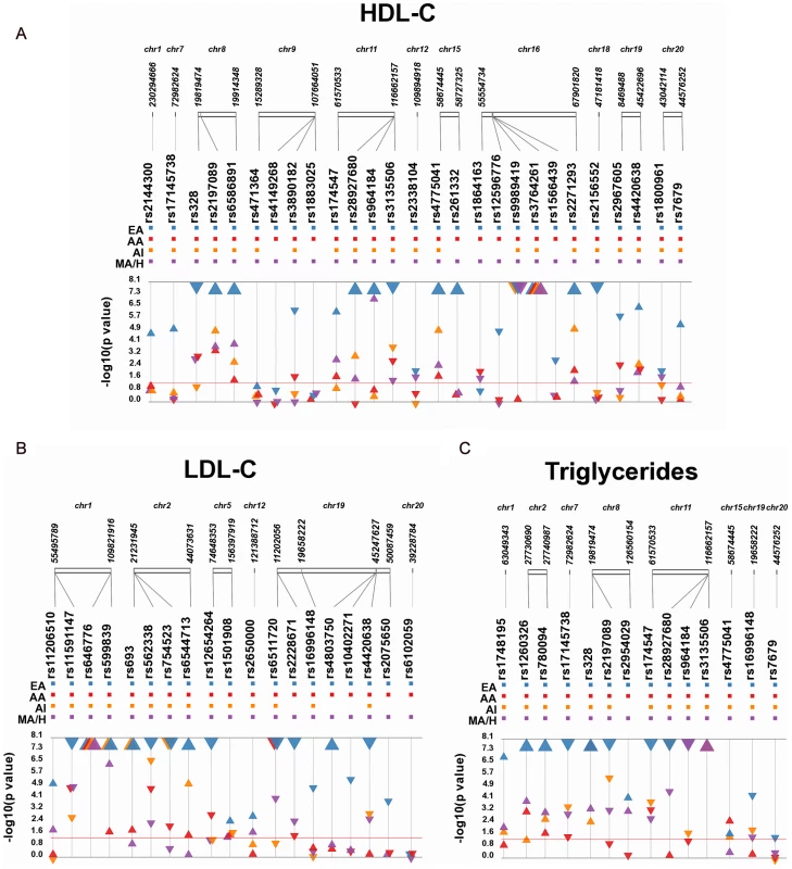 Meta-analysis results for GWAS–identified SNPs by population.