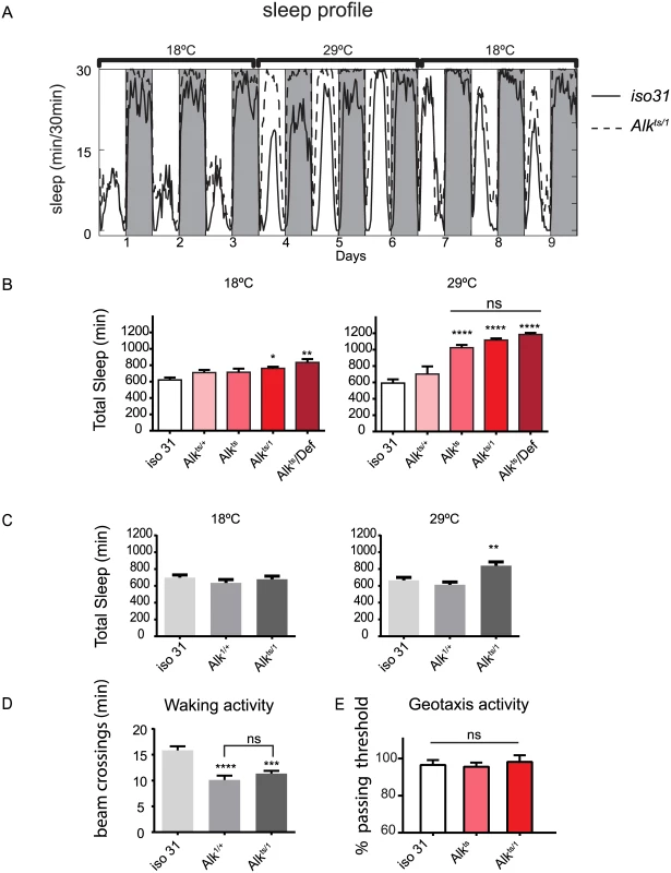 <i>Alk</i> mutants have increased sleep.