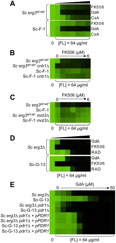 Whole-genome sequencing identifies mutations that confer resistance to azole and FK506, as well as azole and geldanamycin.