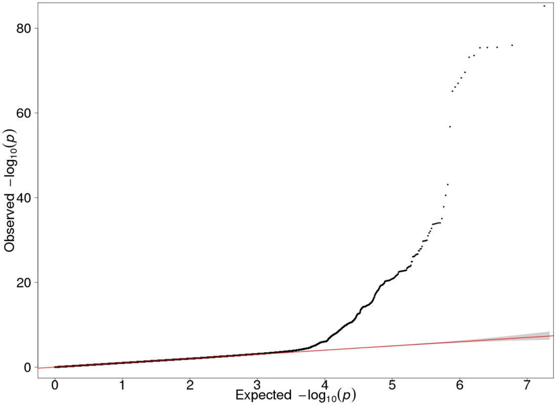 QQ plot of the GWAS meta-analysis results of the three Finnish cohorts (λ = 1.027).