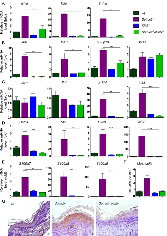 <i>Klk5</i> deletion results in remarkable suppression of the inflammatory phenotype of NS.
