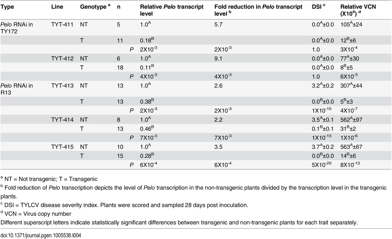 Effect of <i>Pelo</i> silencing in transgenic susceptible (R13) and resistant (TY172) plants.