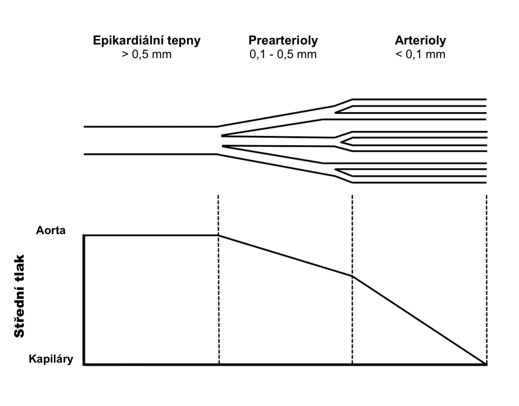 Kompartmentový model koronárního řečiště (upraveno dle: Camici et al., 2007)