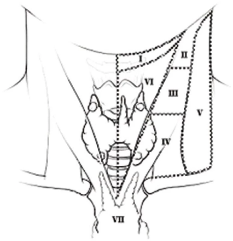 Krční kompartmenty
Fig. 1: Neck compartments
