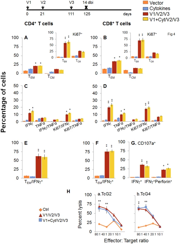 D/P vaccine elicited, long-lived T cells exhibited enhanced antigen-specific, poly-functional phenotype after booster immunization (bi).