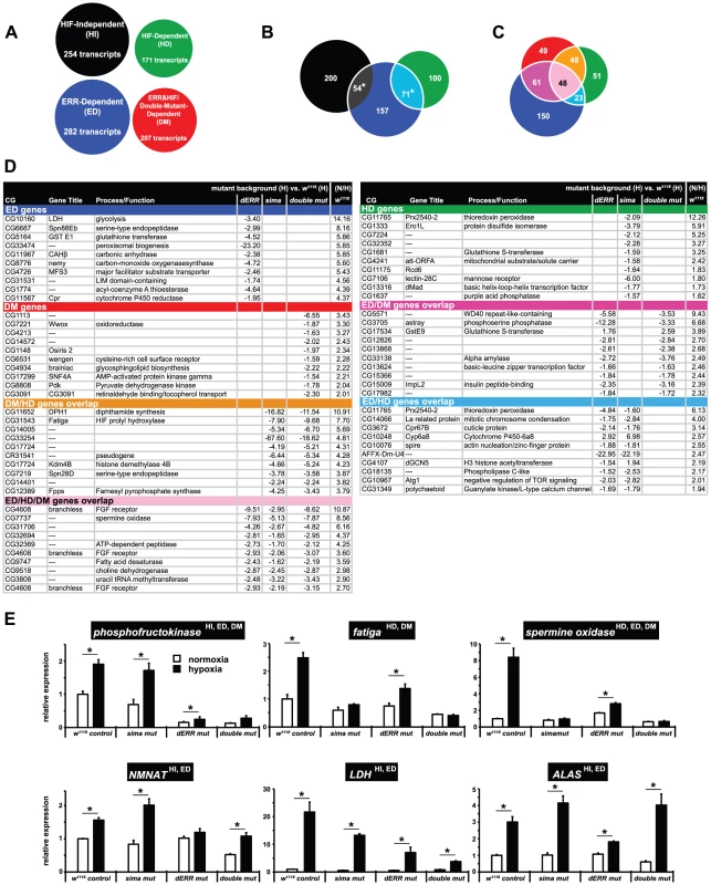 The influence of dERR and dHIFa on hypoxic transcripts.