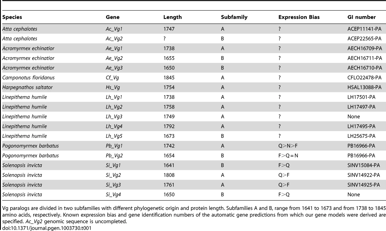 Predicted protein length of Vg genes in ants.
