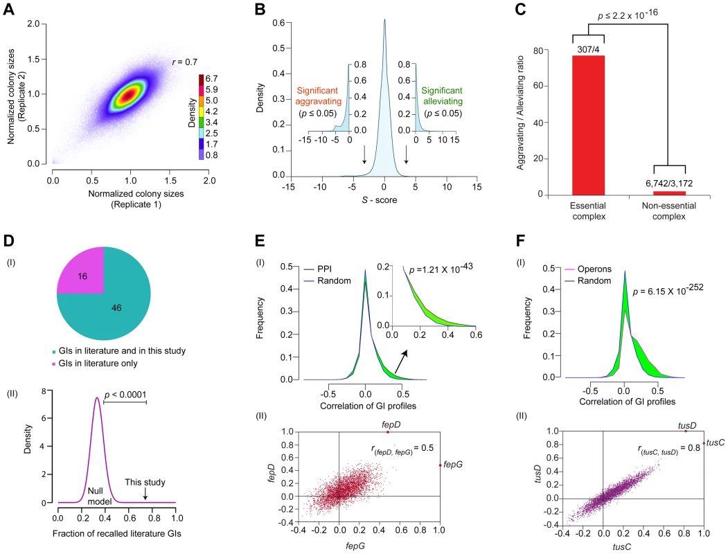 Functional properties of the global <i>E. coli</i> GI network.