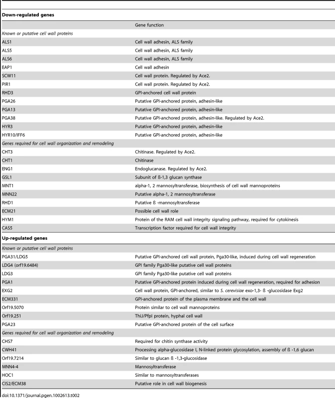 Cell wall–related genes differentially expressed in the <i>C. albicans med31ΔΔ</i> mutant.