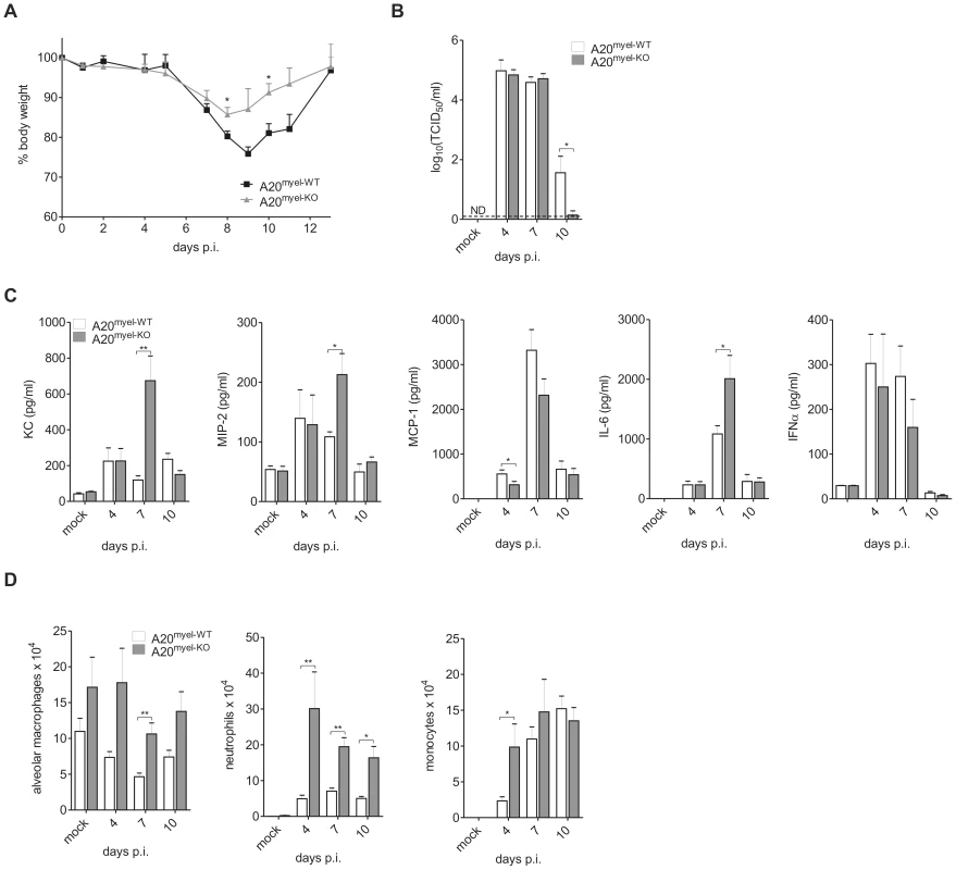 A20 deficiency in myeloid cells protects against IAV lung infection.