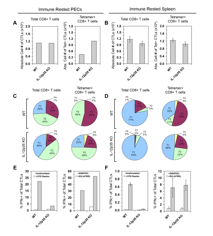 IL-12 is required to differentiate IFN-γ-producing effector memory CTLs.