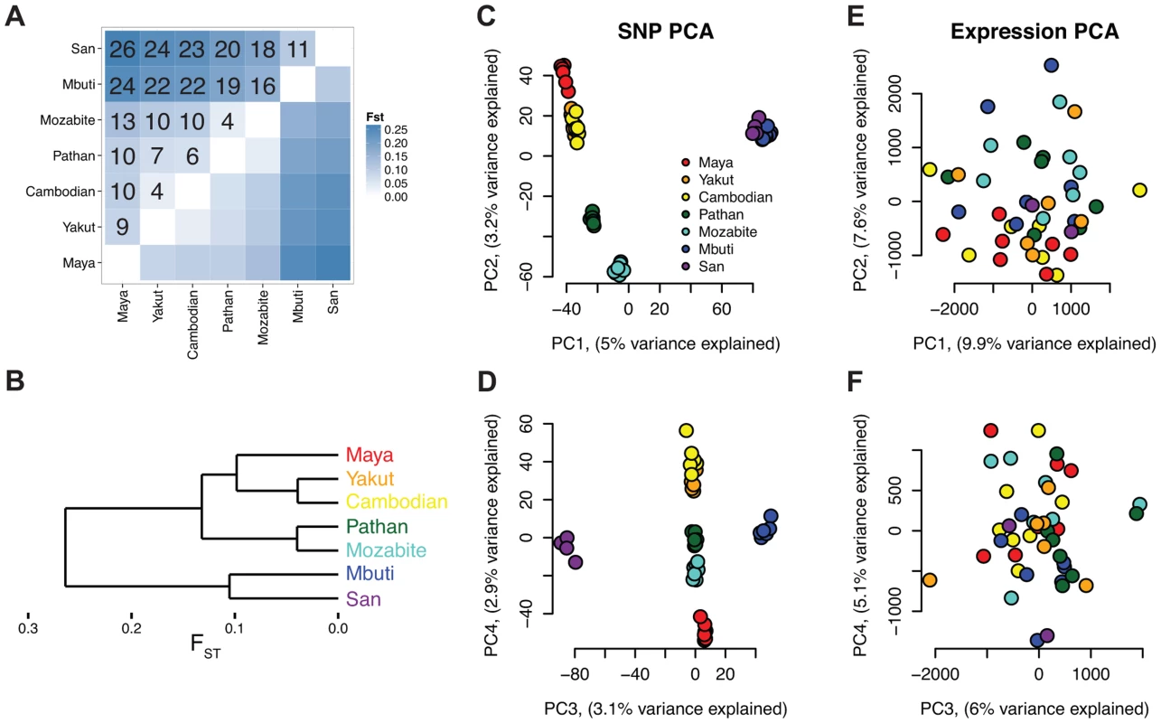 Analysis of genetic and expression divergence among individuals and populations.