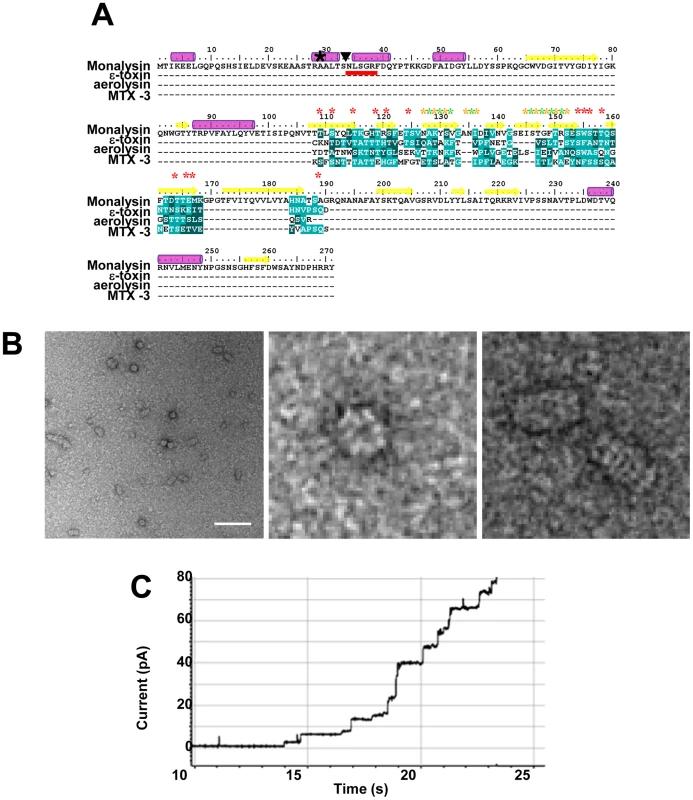 Monalysin is a <i>ß</i> pore-forming toxin.