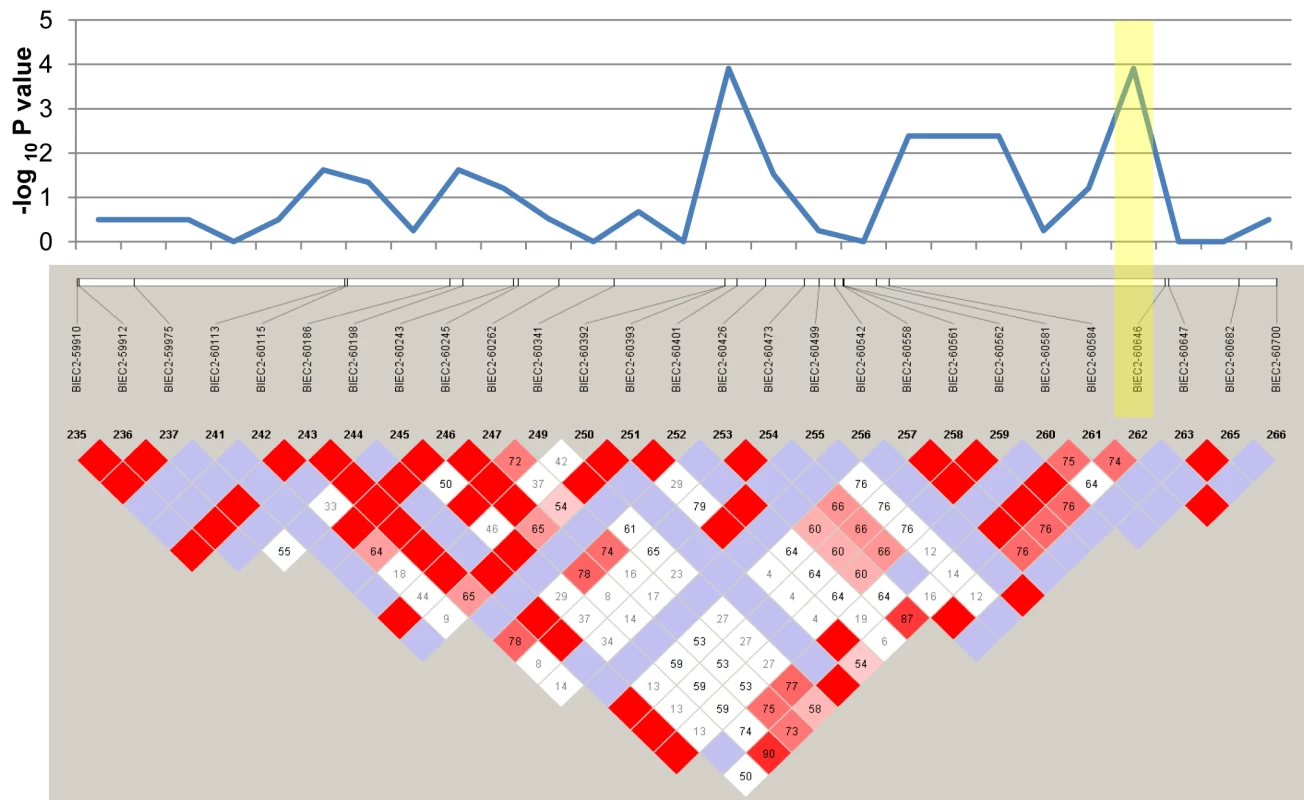 Linkage disequilibrium plot of the homozygous region associated with LFS.