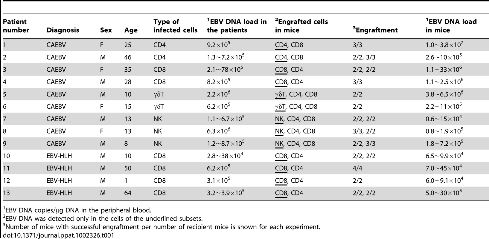 Patients with EBV-T/NK LPD and the results of xenotransplantation of their PBMC to NOG mice.