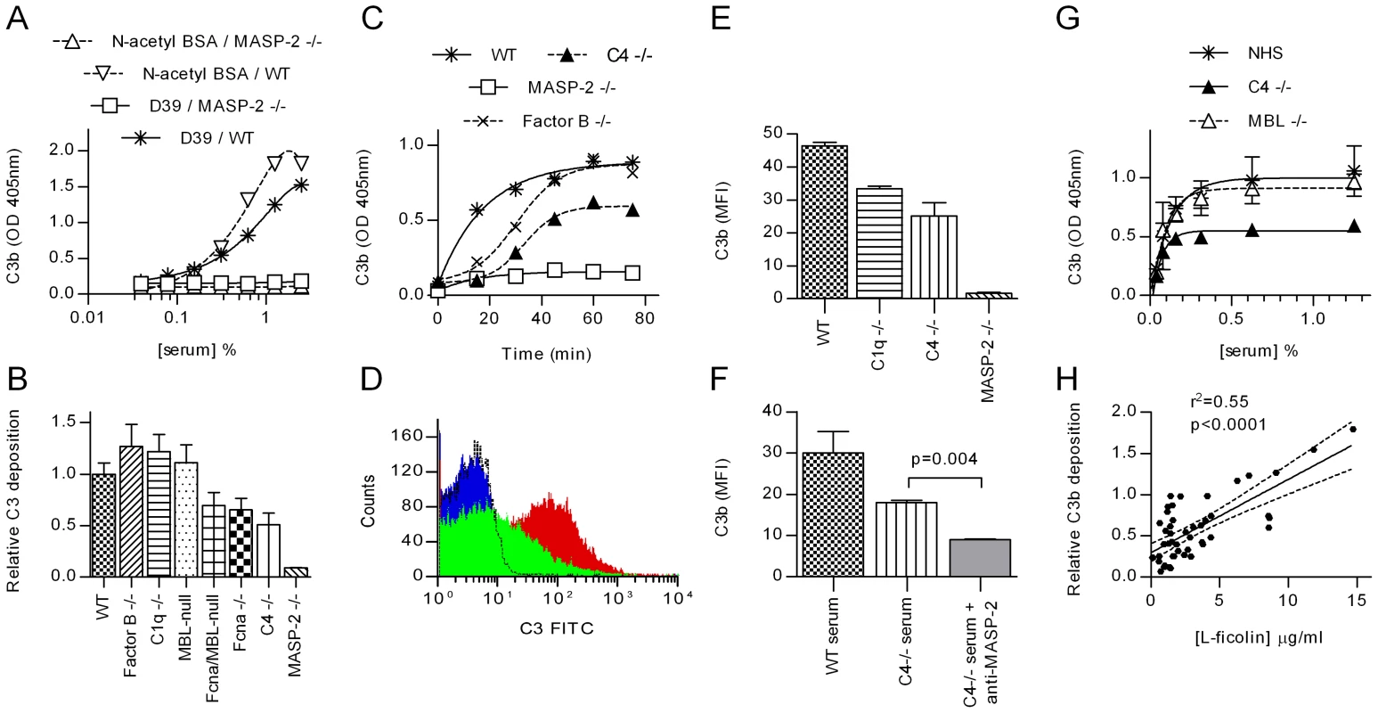 MASP-2 is essential for C3 deposition on <i>S pneumoniae</i>.