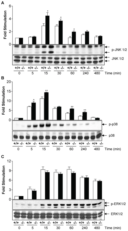 MKP-2 deletion enhances LPS -stimulated MAP kinase phosphorylation in macrophages.
