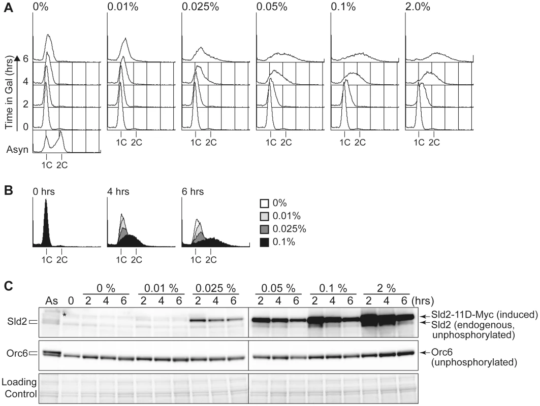 The Sld2-11D protein level is important to promote DNA replication.