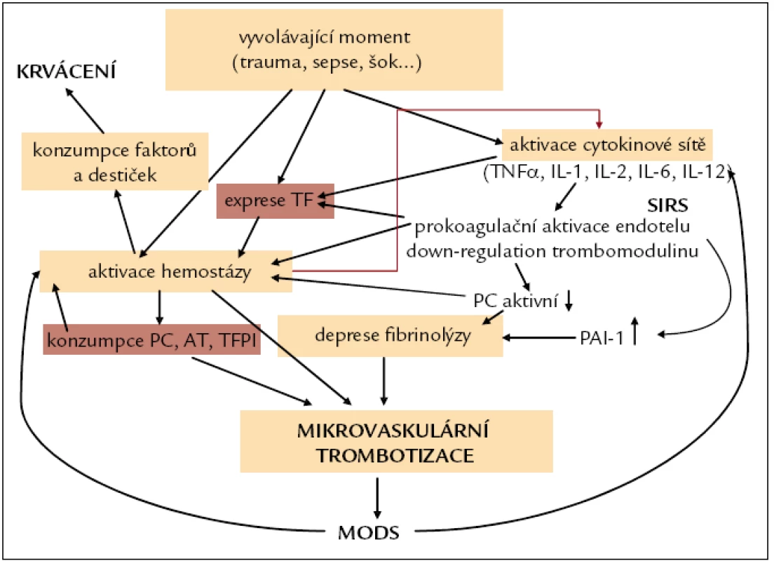 Patogeneze DIC a MOF.
PC – protein C, AT – antitrombin, TFPI – tissue factor pathway inhibitor, SIRS – systemic inflammatory response syndrome, MODS – multiorgan dysfunction syndrome, TF – tkáňový faktor, PAI-1 – plazminogen aktivátor inhibitor-1
