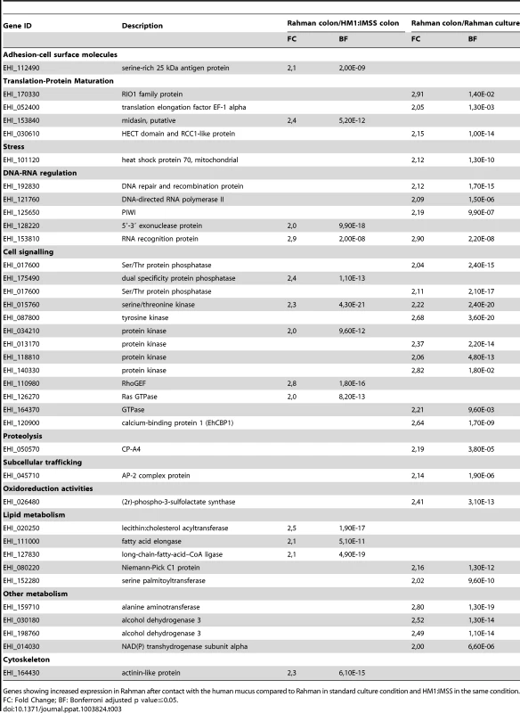 The <i>E. histolytica</i> Rahman specific gene expression profile in contact with the mucus.