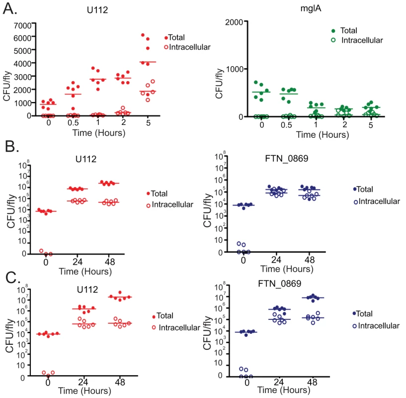 <i>F. novicida</i> mglA mutants are unable to survive intracellularly, while FTN_0869 mutants are unable to survive extracellularly.