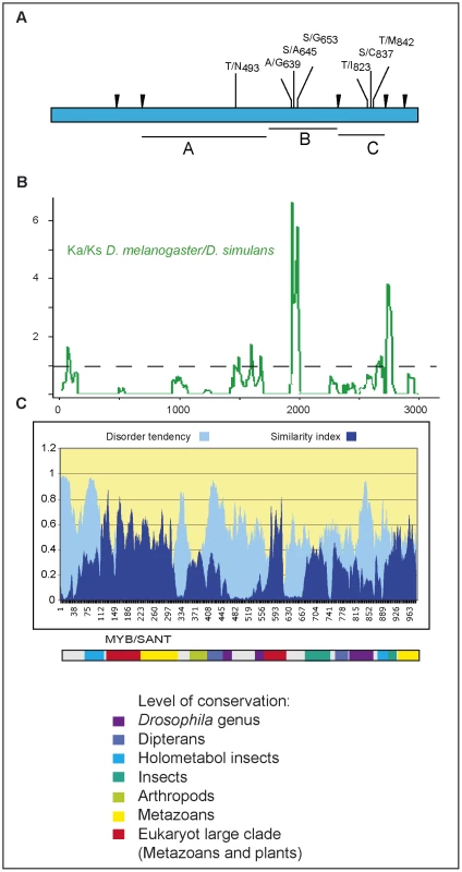 Amino acid polymorphisms in CRAMPED.
