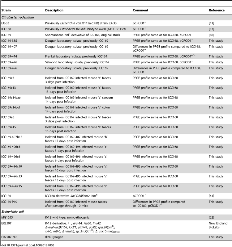 Bacterial strains used in this study.