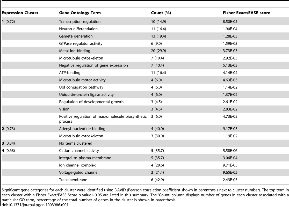 Gene ontology annotations for highly correlated gene clusters.