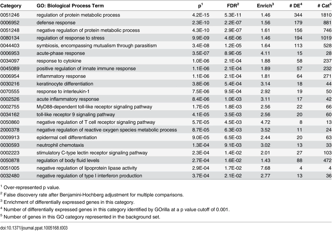 Selected over-represented gene ontology biological process categories.