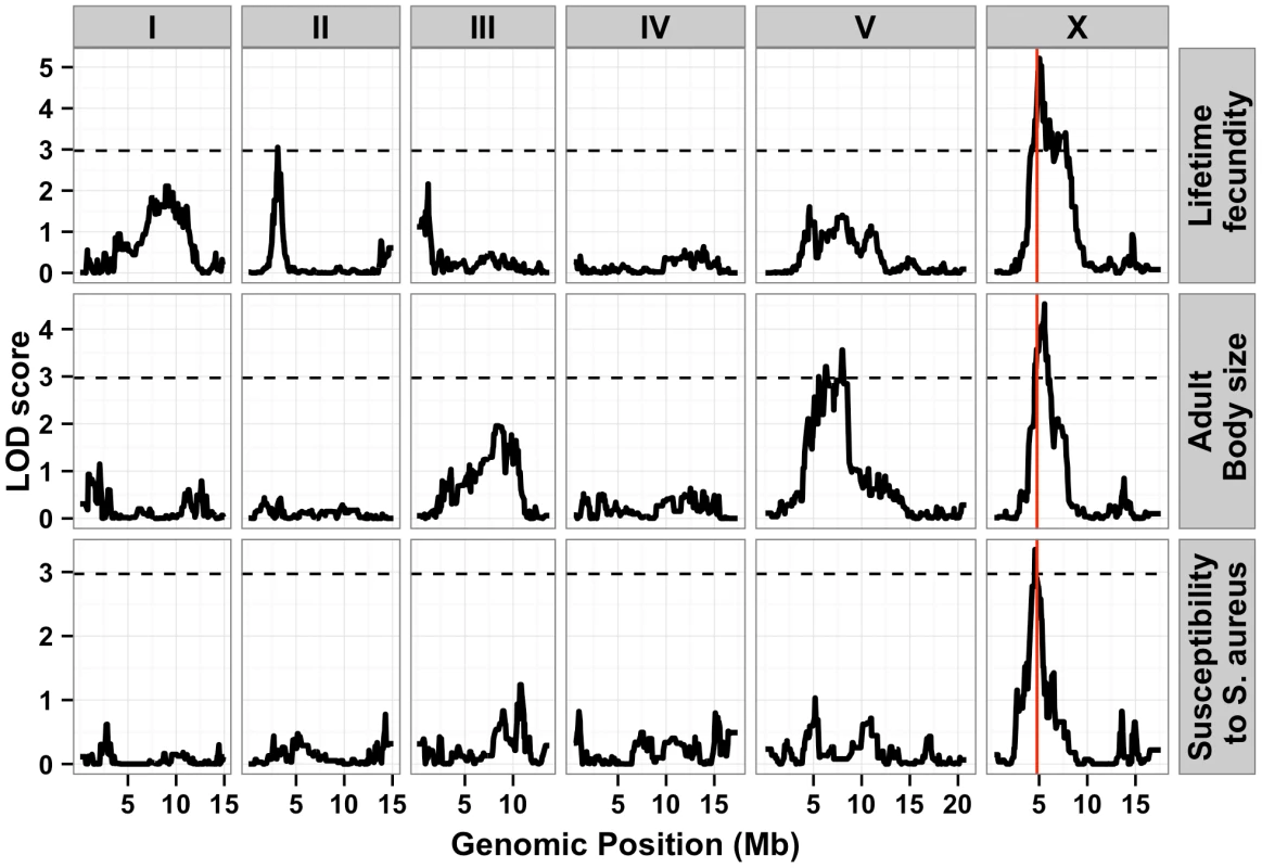Linkage mapping results for lifetime fecundity, adult body size, and susceptibility to <i>S. aureus.</i>