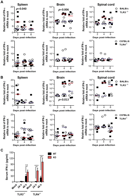 Localized and systemic type I IFN responses of TLR3<sup>−/−</sup> and TLR4<sup>−/−</sup> mice following JEV infection.