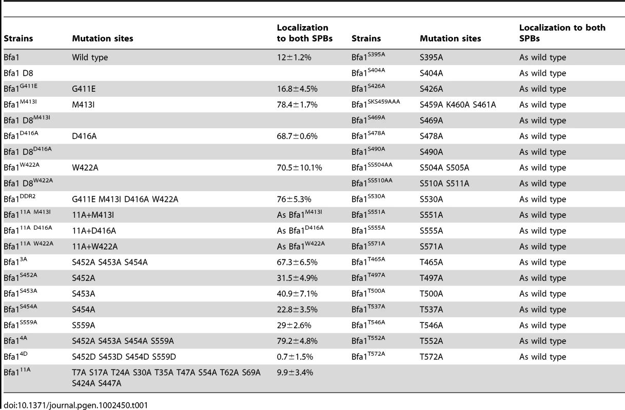Summary of Bfa1 localization on SPBs in various Bfa1 mutants.