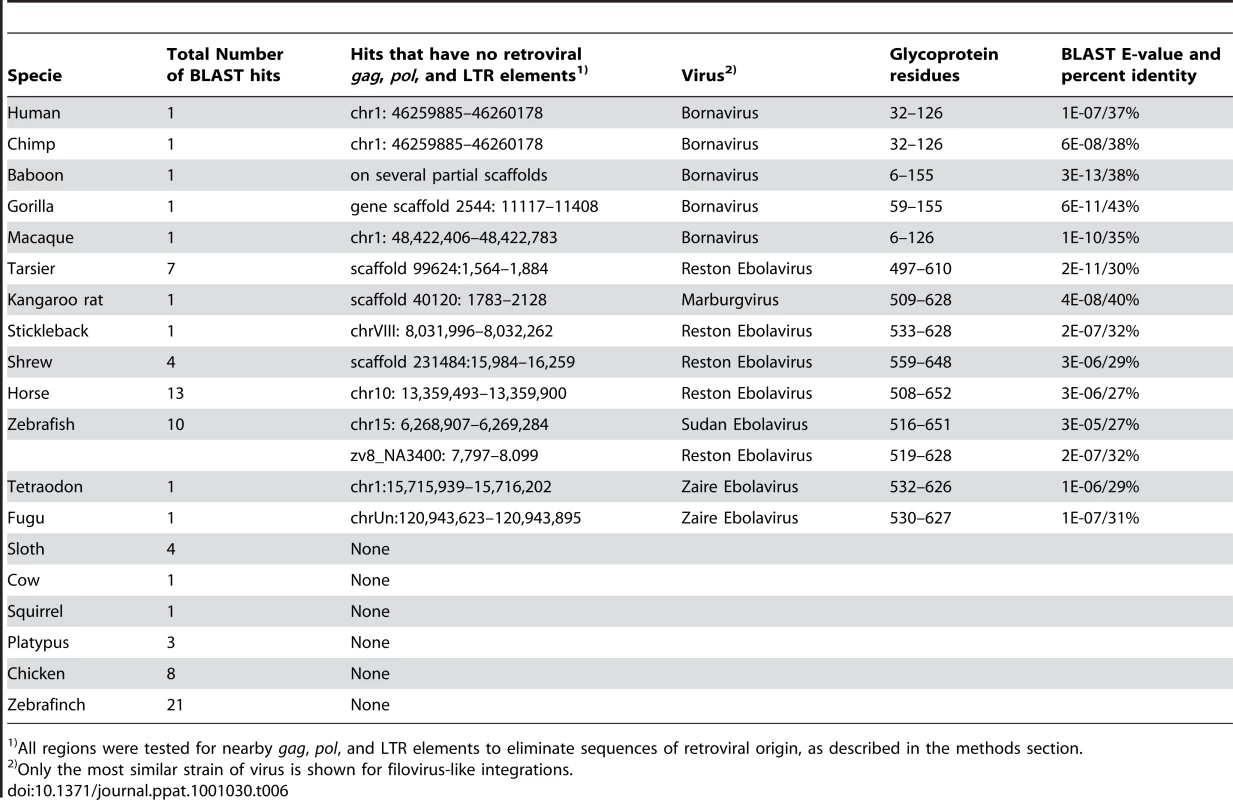 Glycoprotein integrations sites.