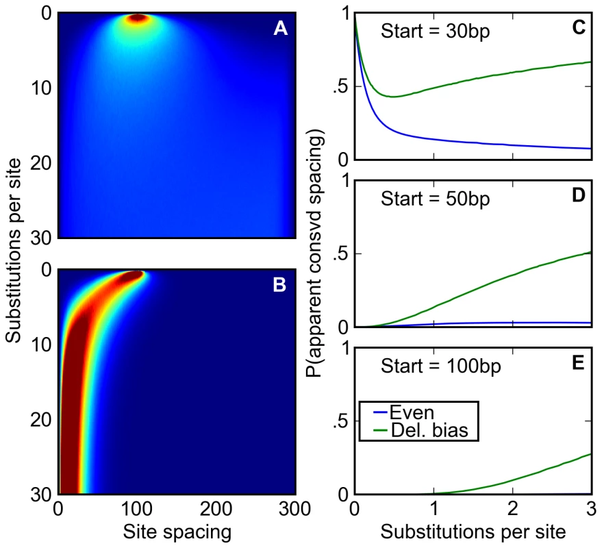 A deletion bias creates the appearance of conserved site spacing.