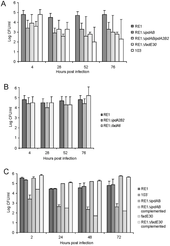 Macrophage infection assays of the human monocyte cell line U937 with <i>R. equi</i> strains.