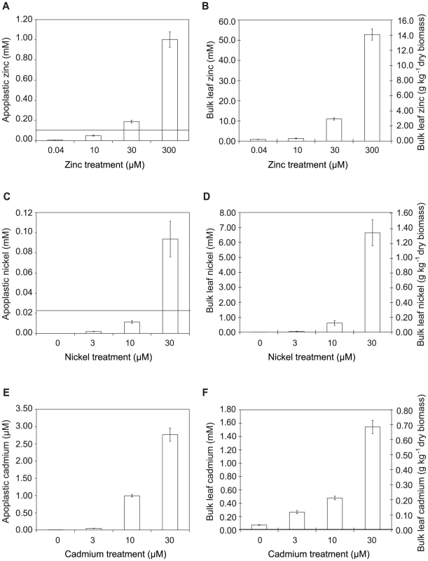 Metal concentrations in zinc-, nickel- and cadmium-treated plants.