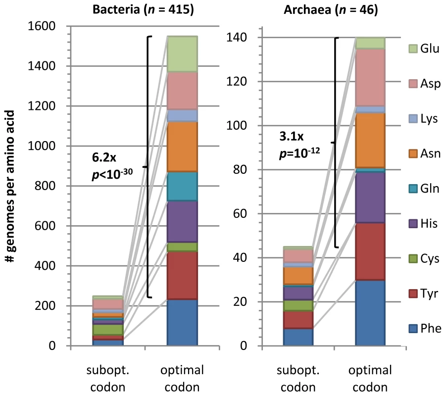Preferred codons in OCU genes.