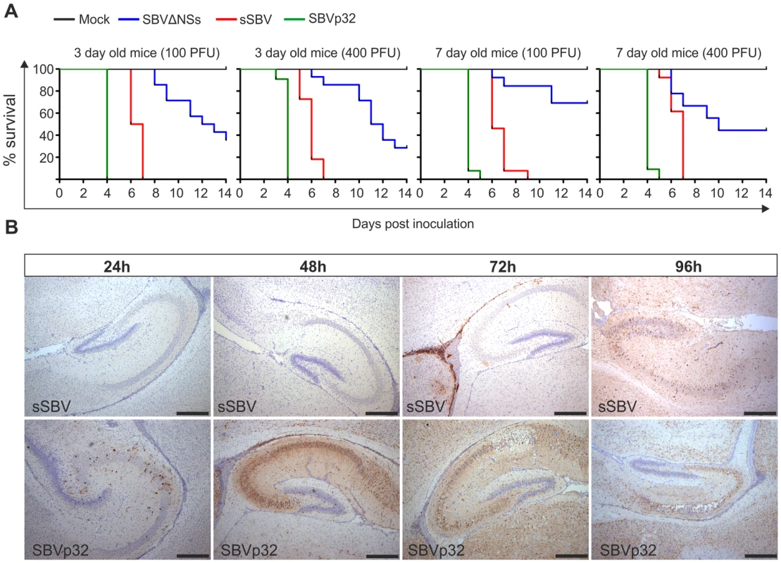 Virulence of SBV mutants in suckling NIH-Swiss mice.