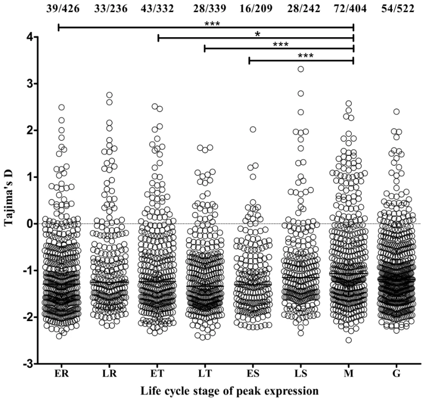 Genes with estimated peak expression at the merozoite stage have highest Tajima's D values overall.