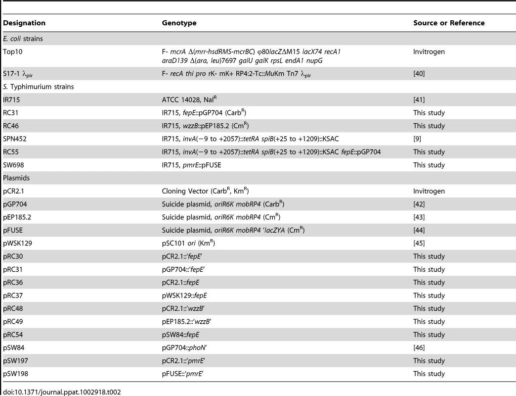 Bacterial strains and plasmids used in this study.