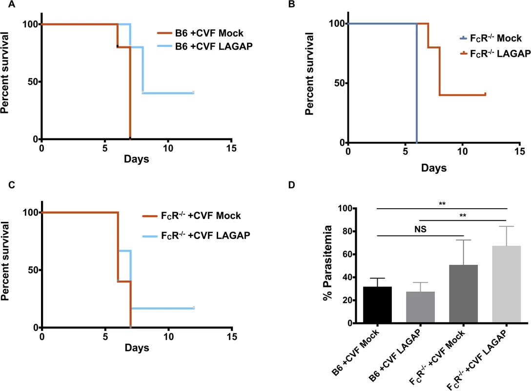 Antibodies elicited by LAGAP immunization require complement and F<sub>C</sub>R binding for complete protection.