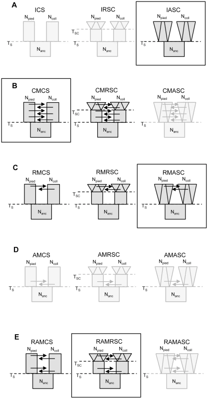 Scenarios and models investigated in the study.