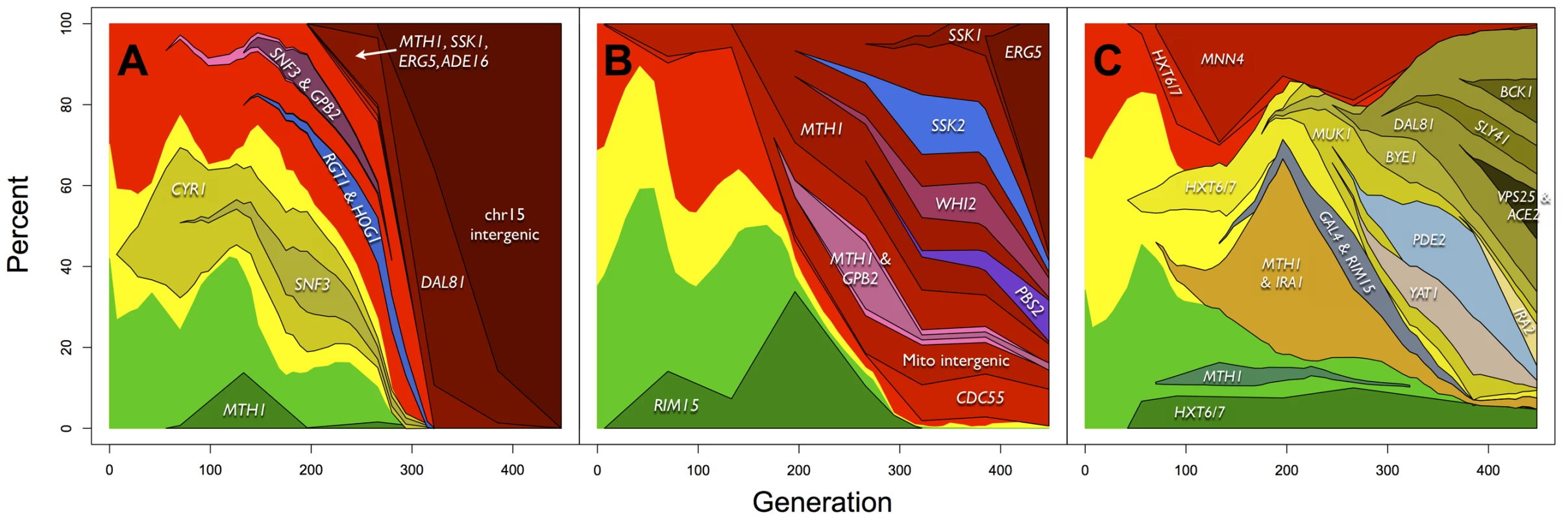 Dynamics and linkage of mutations above 10% allele frequency in (A) E1, (B) E2 and (C) E3.