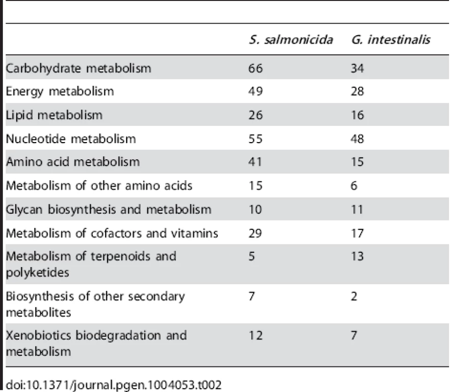 Metabolic enzymes identified in the KAAS analysis.
