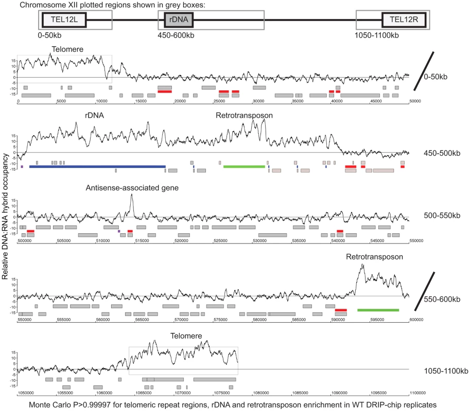 Genome-wide profile of DNA:RNA hybrids in wild type yeast revealed enrichment at rDNA, telomeres, retrotransposons and a subset of genes.