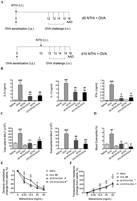 NTHi infection suppressed key features of Th2-driven eosinophilic AAD.